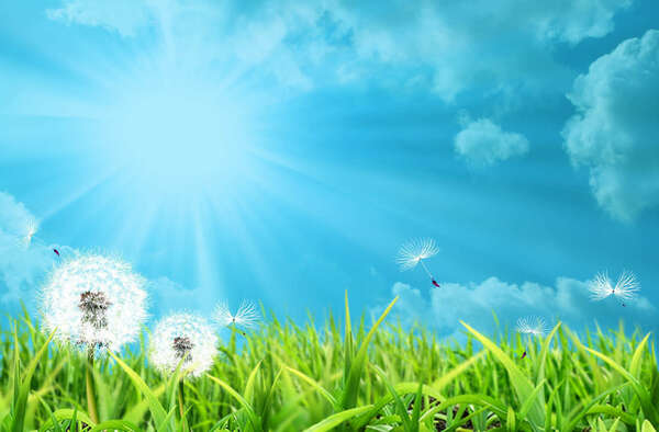 Gérer les stress quotidien avec la Sophrologie 