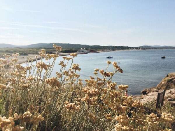 Succession : Comment les Corses veulent lutter contre la spéculation immobilière