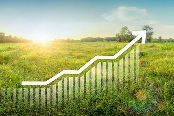 Taxe sur la cession à titre onéreux d’un terrain nu devenu constructible : du nouveau pour 2025 !