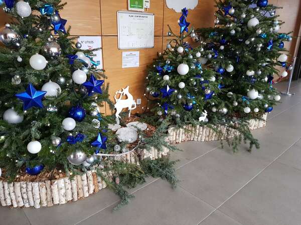 Distribution de Paniers Goumands aux Séniors de Colomiers