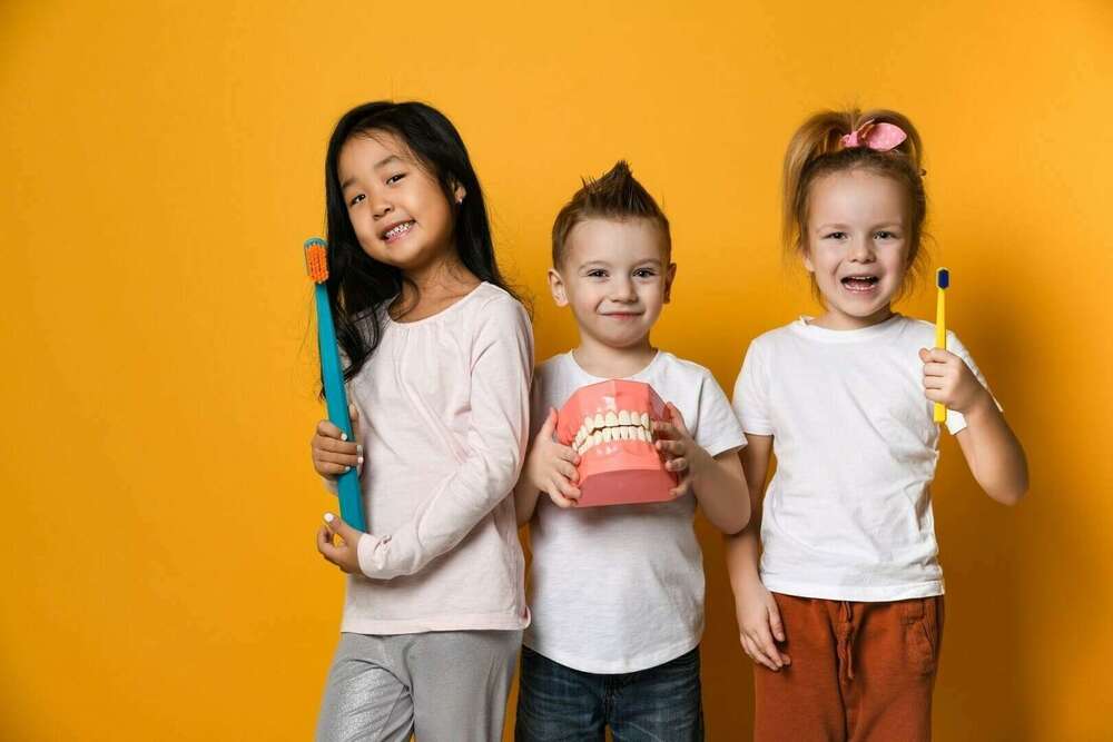 L'ORTHODONTIE FONCTIONNELLE : INDICATIONS ET TRAITEMENTS