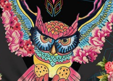 L'exercice du moment : la chouette