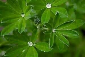 CERTIFICATION ANIMATEUR BRAIN GYM ET ACCOMPAGNANT EDUK 2026 - reportée à janvier 2027