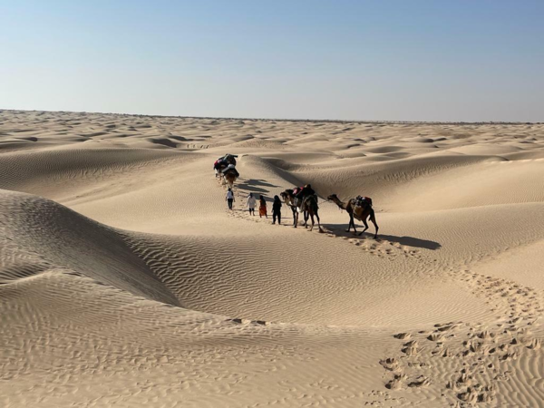 QUAND TU VAS DANS LE DÉSERT...