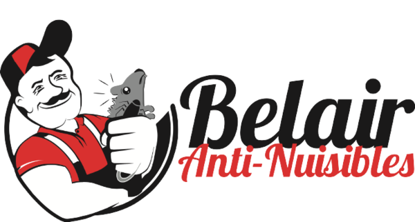 Logo Albert Anti Nuisibles