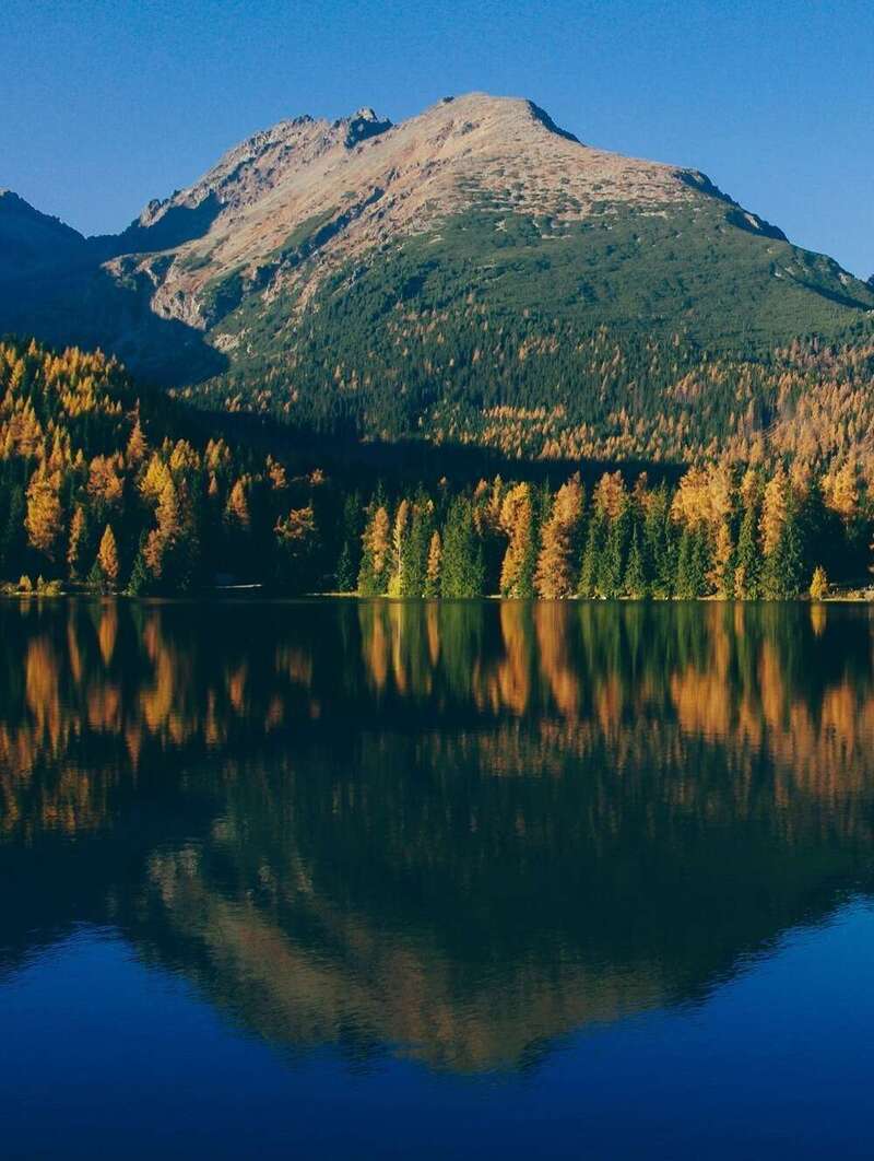 Kinésithérapie à Divonne-les-Bains (01220)