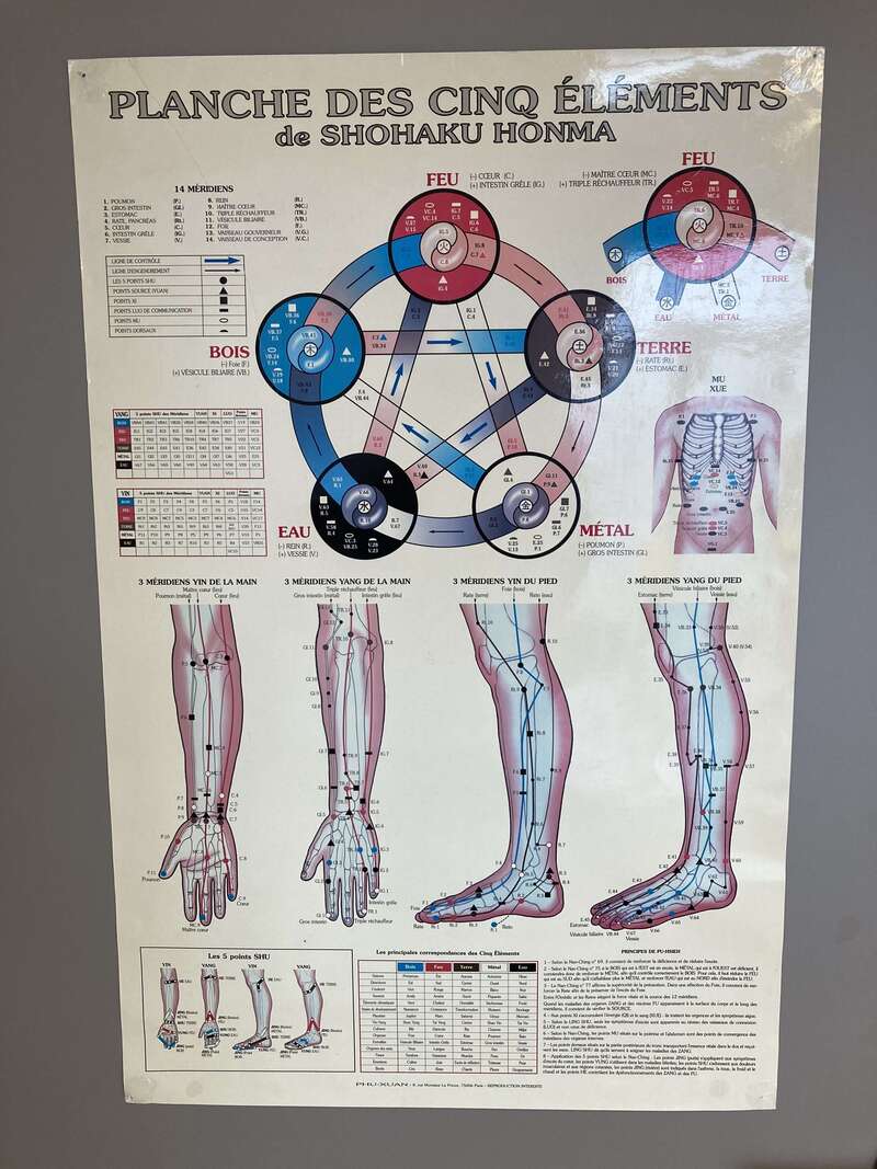 Acupuncture à Divonne-les-Bains (01220)
