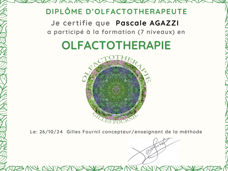 capture_d_ecran_2025-06-16_a_11-15-07