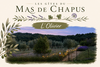 L'olivier du Mas de Chapus