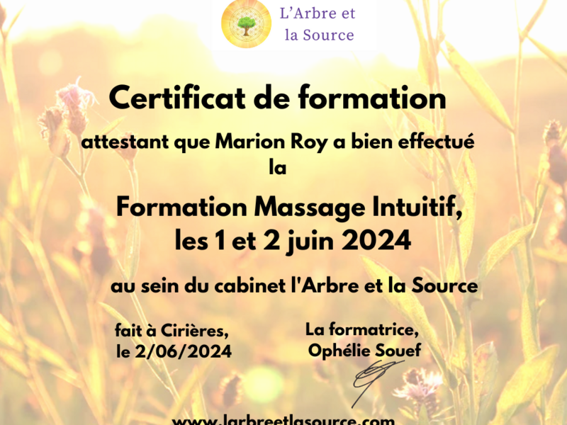 certificat_de_formation__4_20250505-204890-uqm0tn