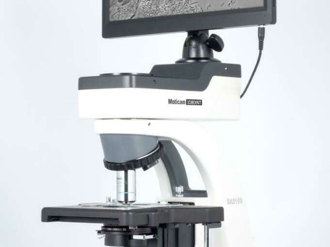 gxdrszf28w_1595417804