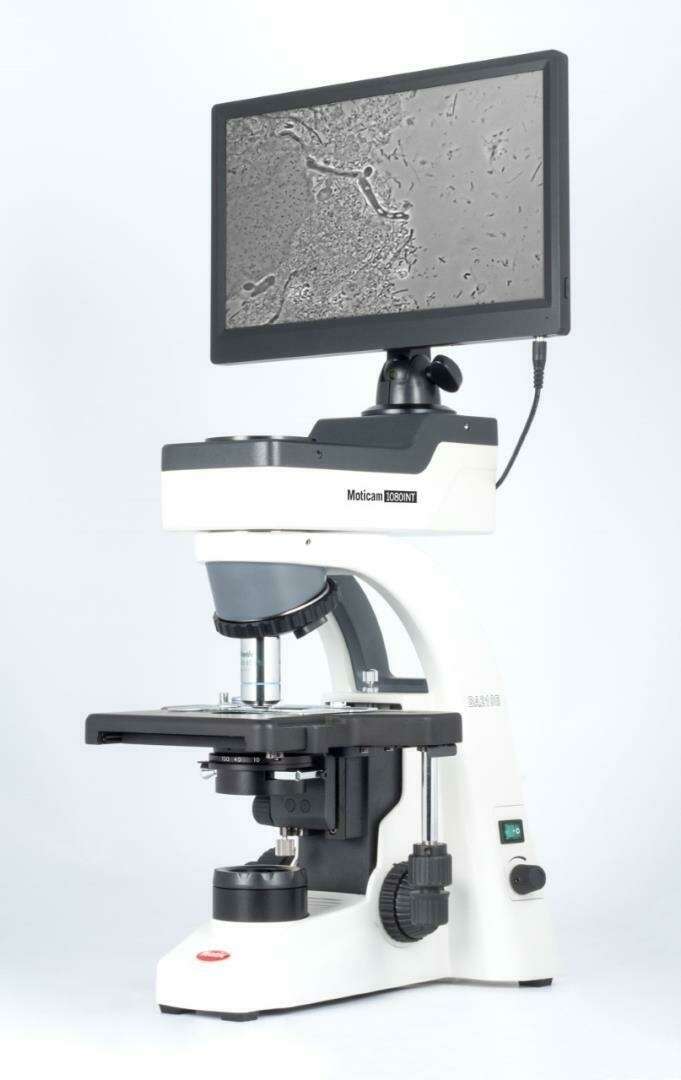 gxdrszf28w_1595417804