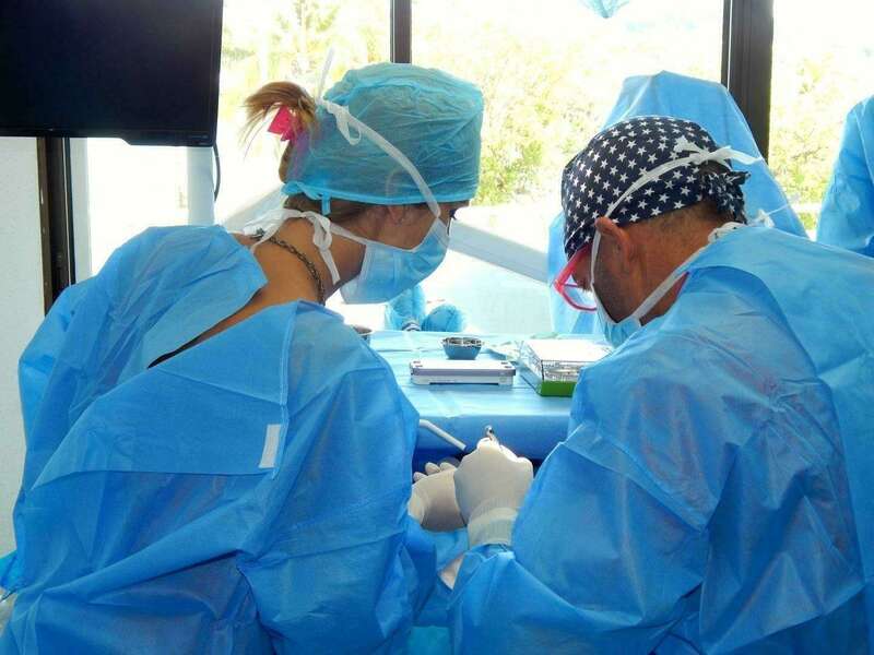 thxqhq9lgj_1595417810