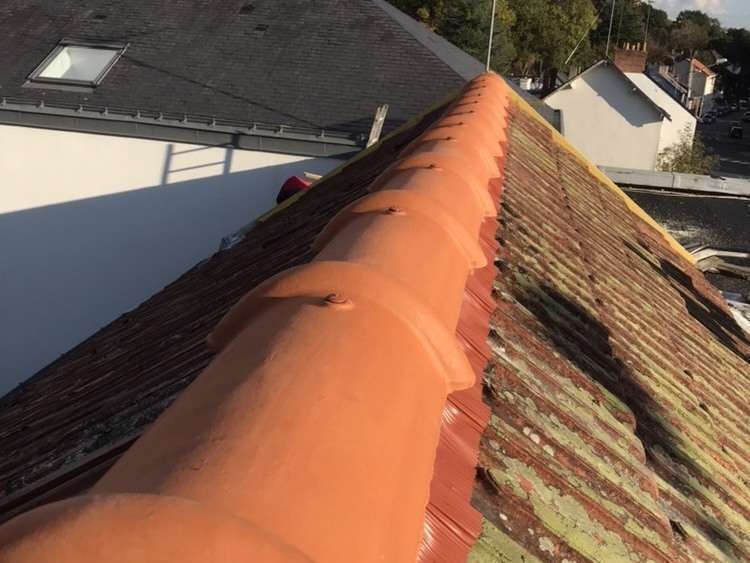 image_123986672__10_