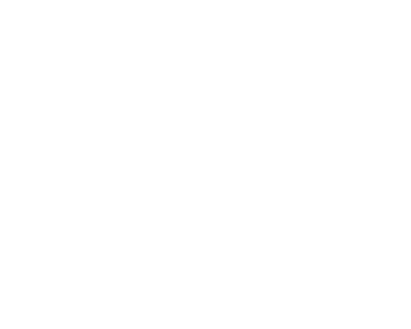 Logo MALICORNE CONSEIL