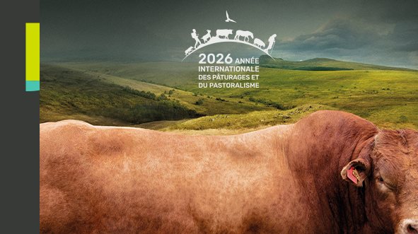 SOMMET DE L'ÉLEVAGE 2026