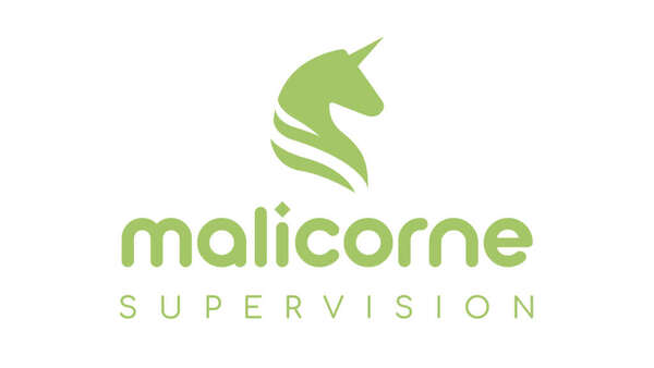 Lancement de MALICORNE SUPERVISION