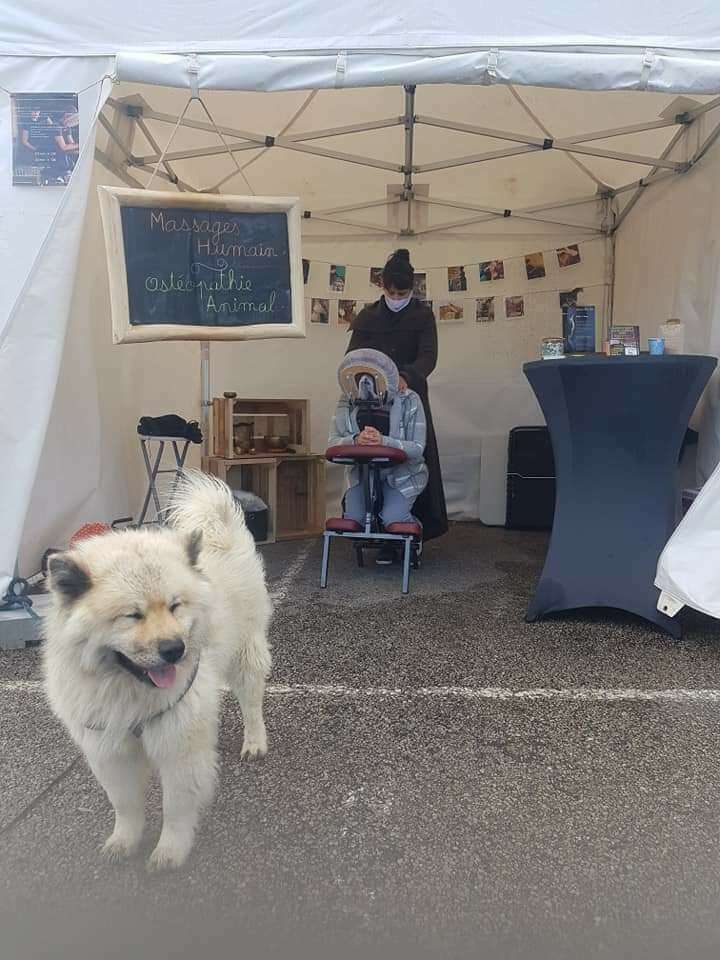 fb_img_1641143491382