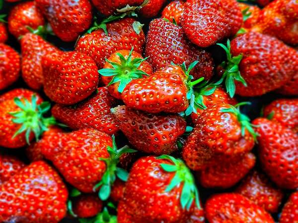 Viva Noirmoutier ! Le sorbet fraise (plein fruit) de chez Nicolas