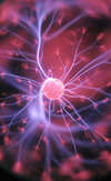 Neurosciences et coaching : une synergie puissante