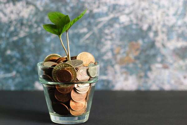 Forêt : un actif tangible qui séduit de plus en plus les patrimoines