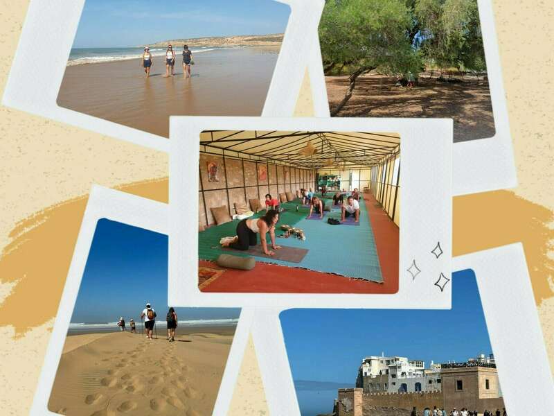 inframe_1697865056279