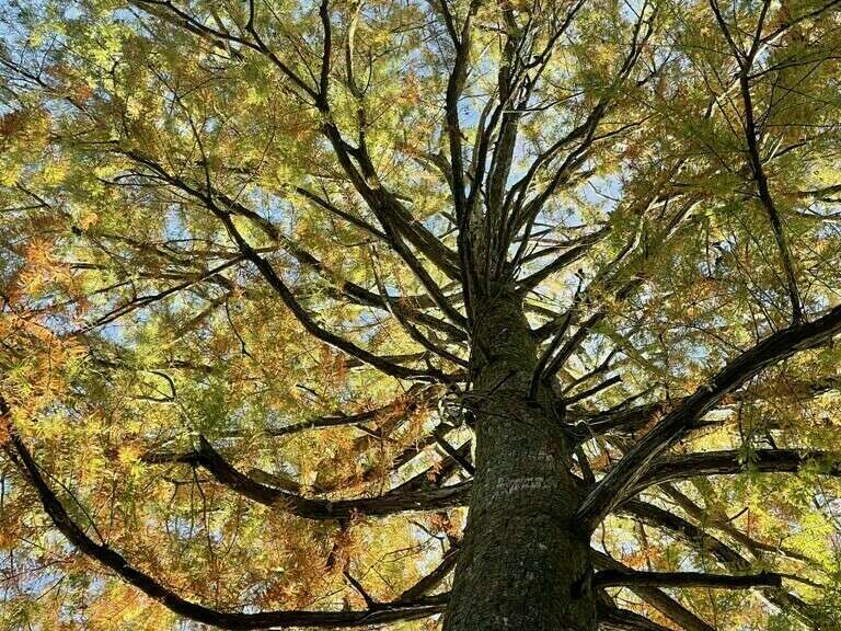 57d42fab-aea8-4493-89c0-b86eab200f68_1_105_c