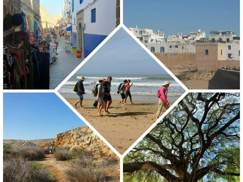 img_20231117_232802_549