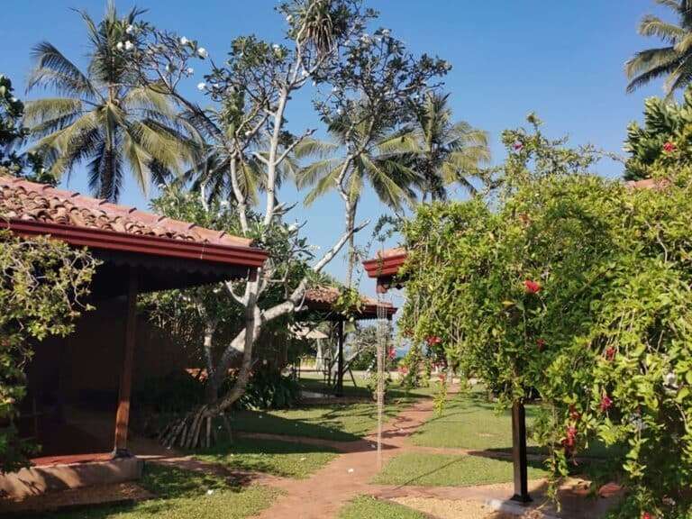 barberyn-sands_rooms-in-a-garden-setting-768x1024