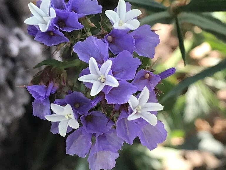 img_20230329_215336_220