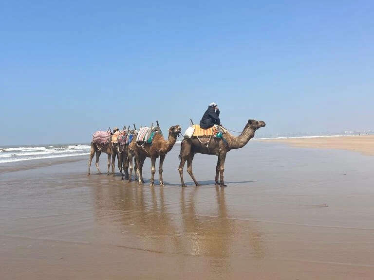 img_20230329_215336_447__1_