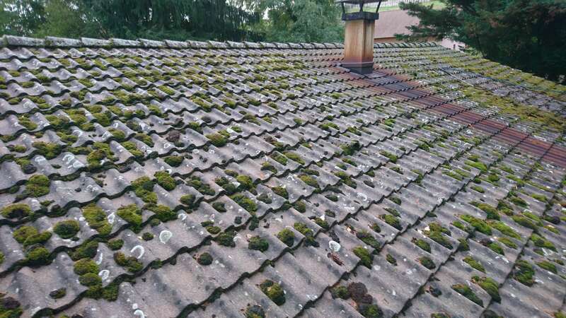 toiture recouverte de mousse