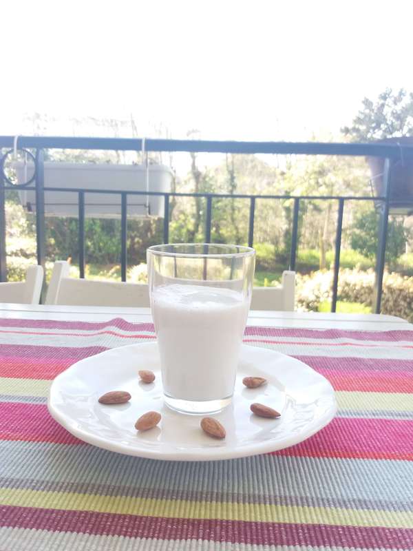 Plaisirs variés des laits végétaux maison :  en sauce, en pâtisserie ou encore pour un petit déjeuner gourmand