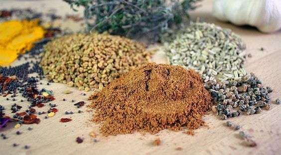 Plantes, épices et aromates pour l'équilibre de la flore intestinale