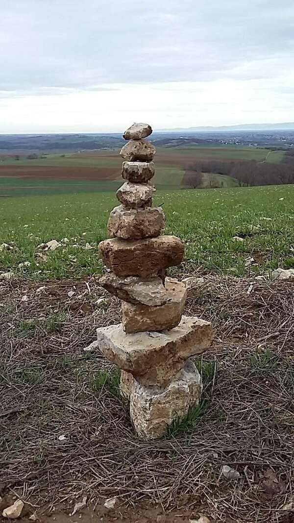 Qu’est-ce qu’un système ? Quel rôle joue-t-il dans une constellation systémique ?