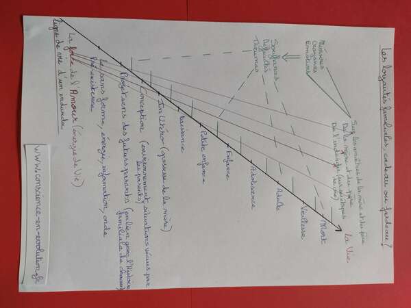 Loyautés familiales, cadeau ou fardeau?