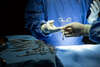 Chirurgie vétérinaire à Lyon