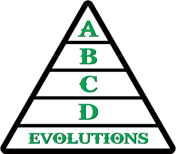 ABCD EVOLUTIONS