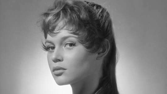 Reconnaissance et qualification juridique de la « touche » Harcourt