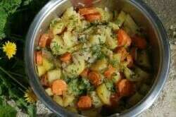 Bœuf à l’étouffée de chou et carottes 