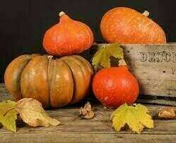 Halloween c’est aussi la fête des citrouilles, potirons et compagnie…….