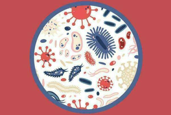 Le microbiote intestinal, la clef de notre santé 