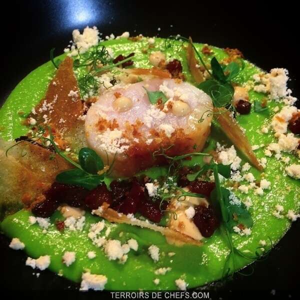 Lieu Jaune grillé, purée de petits pois à la menthe