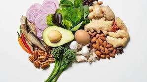 Alimentation et cognition : quand ce que nous mangeons influence notre cerveau