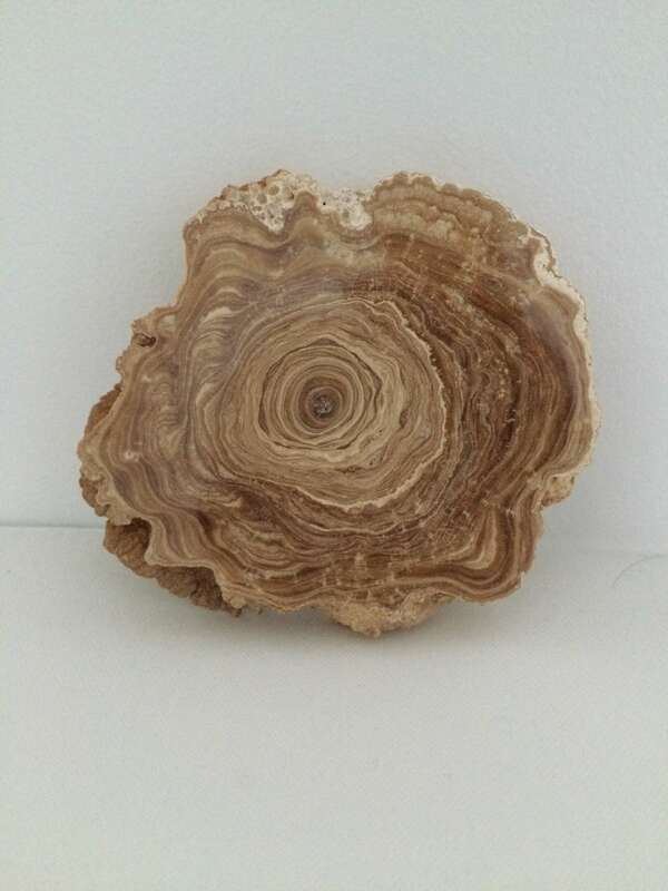 Comment  votre litho-énergéticienne est-elle arrivée à s'intéresser aux pierres ?