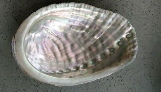 Abalone et lithothérapie