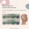 consultation médicale pour raideur de la nuque et fièvre