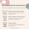 mouvement et équilibre du système nerveux