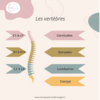 Mal de dos pendant les vacances : souffrez-vous de cervicalgies, de dorsalgies ou de lombalgies ?