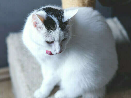 ff241e1f63bf4af480664155830a46c6